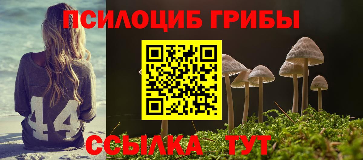 Псилоцибиновые грибы мухоморы  где купить наркоту  Анжеро-Судженск  Вход с VPN 
