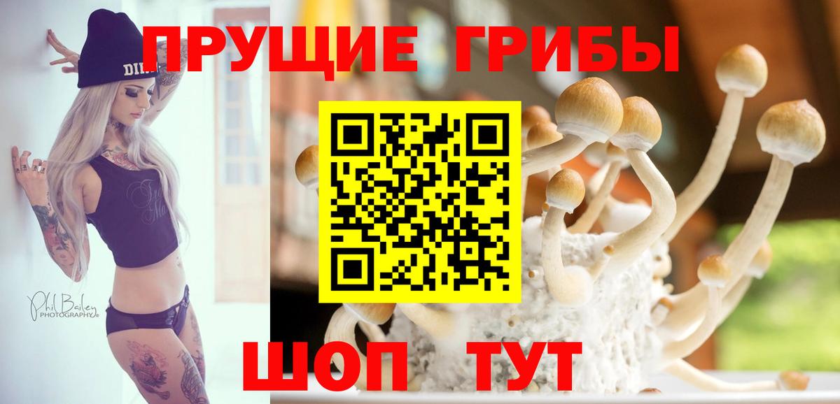 Галлюциногенные грибы MAGIC MUSHROOMS Анжеро-Судженск